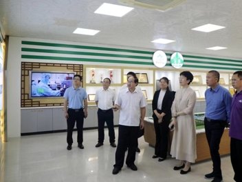 为了更好地展示页面效果